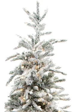 Pre-Lit Christmas Trees*Kelly Clarkson Home Green/White Realistic Artificial Pine Flocked/Frosted Christmas Tree With Lights
