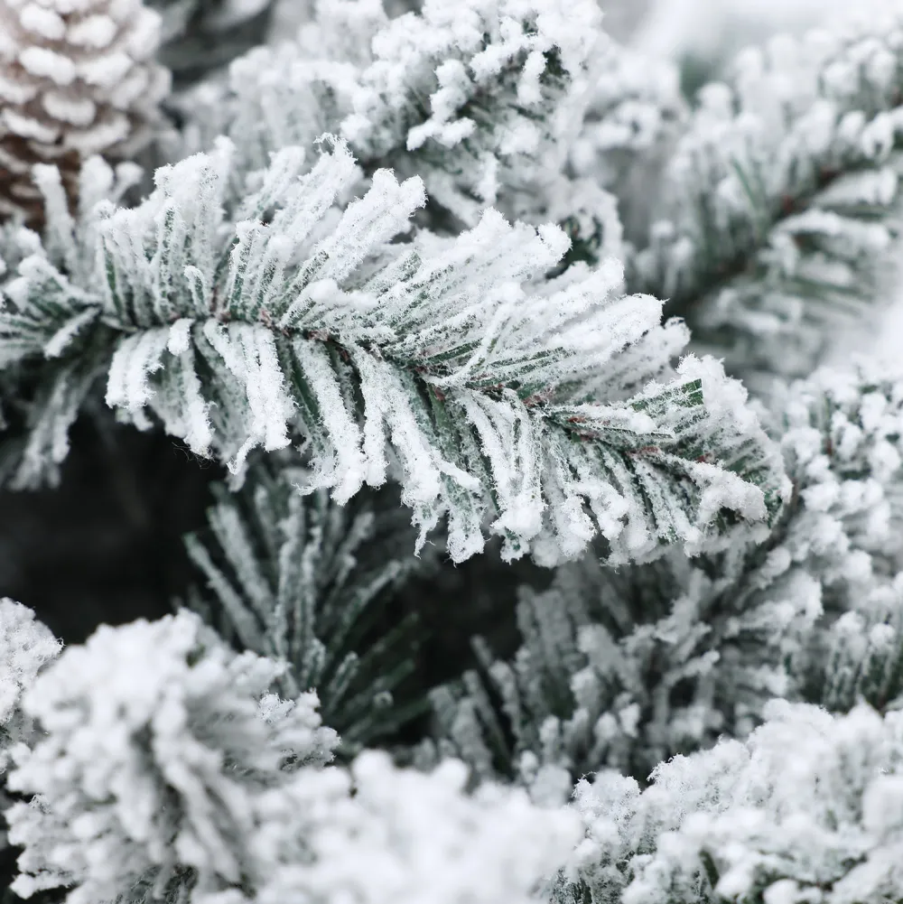 Pre-Lit Christmas Trees*The Holiday Aisle Haleem 6.5' Lighted Artificial Pine Christmas Tree