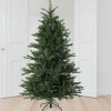 Pre-Lit Christmas Trees*The Holiday Aisle Hillwood Pine Led