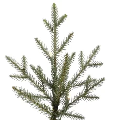 Pre-Lit Christmas Trees*The Holiday Aisle Itasca Frasier 7.5' Green Fir Trees Artificial Christmas Tree With 750 Led Clear/White Lights With Stand