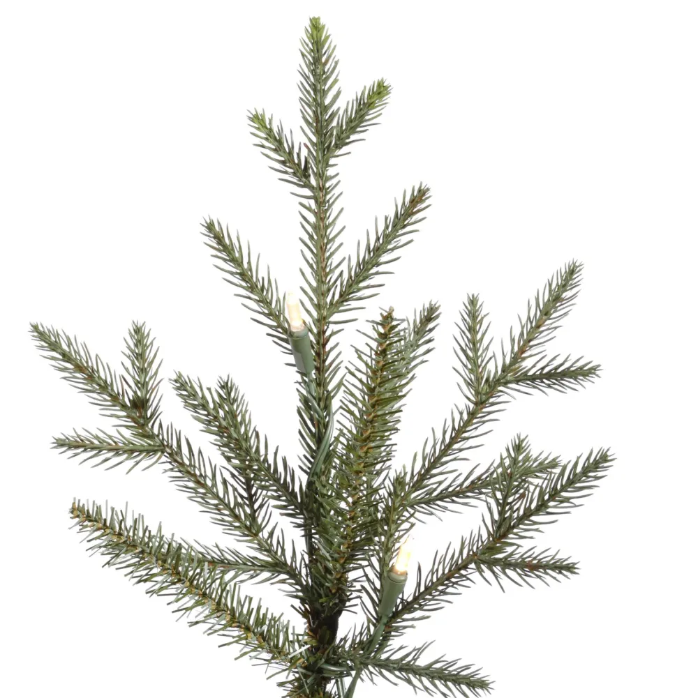 Pre-Lit Christmas Trees*The Holiday Aisle Itasca Frasier 7.5' Green Fir Trees Artificial Christmas Tree With 750 Led Clear/White Lights With Stand