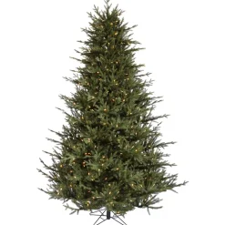 Pre-Lit Christmas Trees*The Holiday Aisle Itasca Frasier 6.5' Green Fir Trees Artificial Christmas Tree With 600 Led Clear/White Lights With Stand
