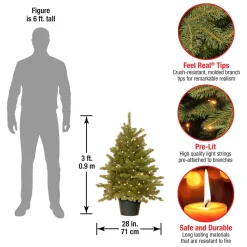 Pre-Lit Christmas Trees*Andover Mills Kiara 36