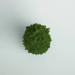 Pre-Lit Christmas Trees*Mercury Row Kingswood Fir Green Artificial Christmas Tree With Clear/White Lights