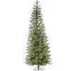 Pre-Lit Christmas Trees*The Holiday Aisle Natcut Narrow Jackson 6' Green Pine Artificial Christmas Tree With Clear/White Lights