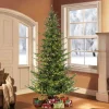 Pre-Lit Christmas Trees*The Holiday Aisle Natural 7.5' Green Fir Artificial Christmas Tree With 700 Clear And White Lights