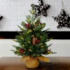 Pre-Lit Christmas Trees*Three Posts Nordic Spruce 2' Green Artificial Christmas Tree With 50 Lights