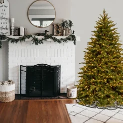 Pre-Lit Christmas Trees*The Holiday Aisle Nordic Spruce 6.5' Green Spruce Artificial Christmas Tree With Clear/White Lights
