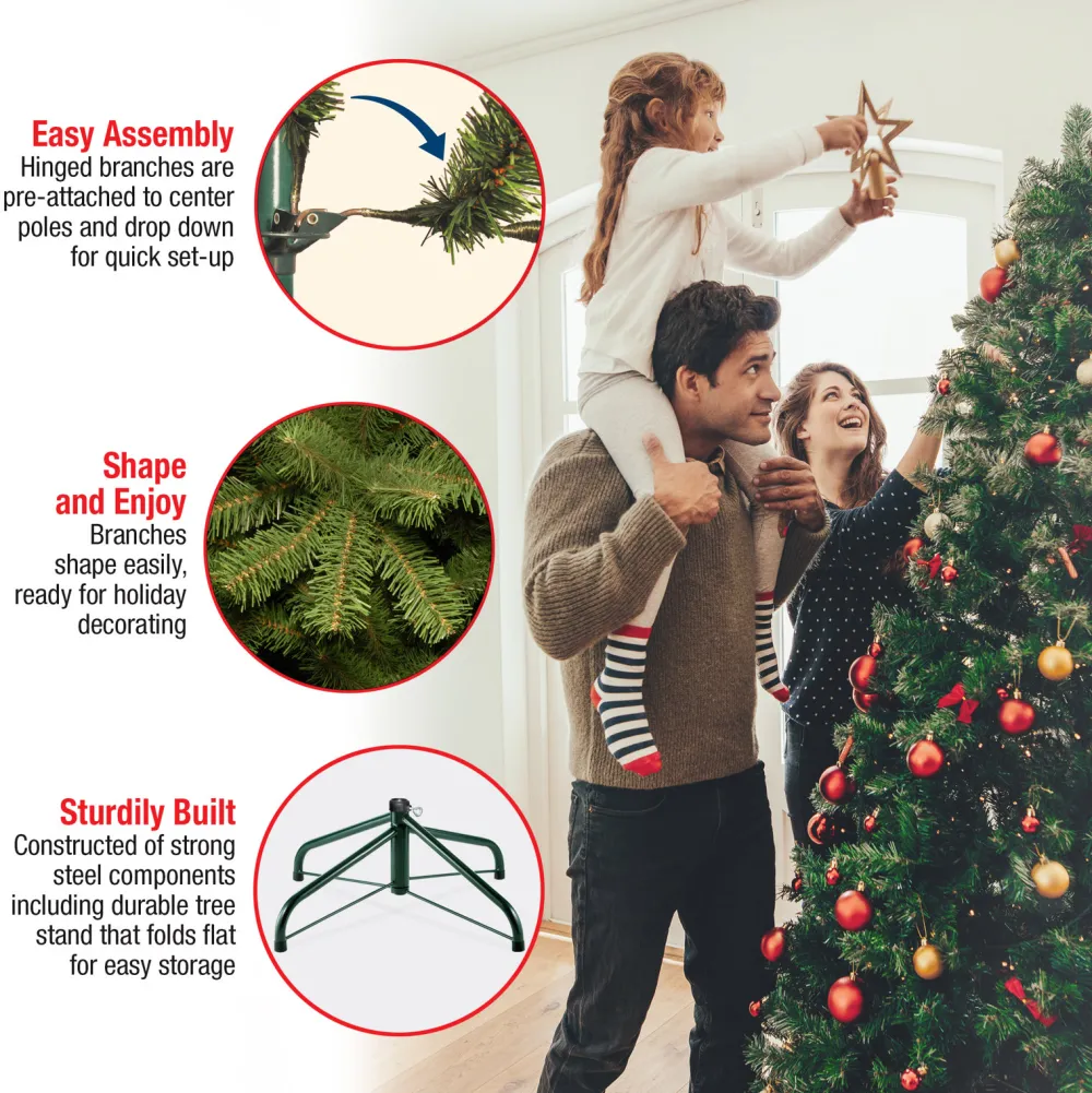 Pre-Lit Christmas Trees*The Holiday Aisle Nordic Spruce 6.5' Green Spruce Artificial Christmas Tree With Clear/White Lights