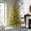 Pre-Lit Christmas Trees*Greyleigh Nordic Spruce Green Realistic Artificial Spruce Cashmere Christmas Tree