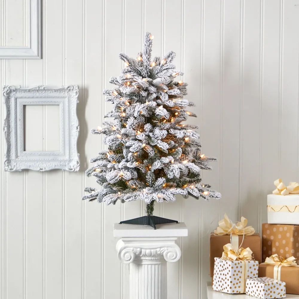 Pre-Lit Christmas Trees*The Holiday Aisle North Carolina 8' Flocked Fir Artificial Christmas Tree With 650 Clear/White Light