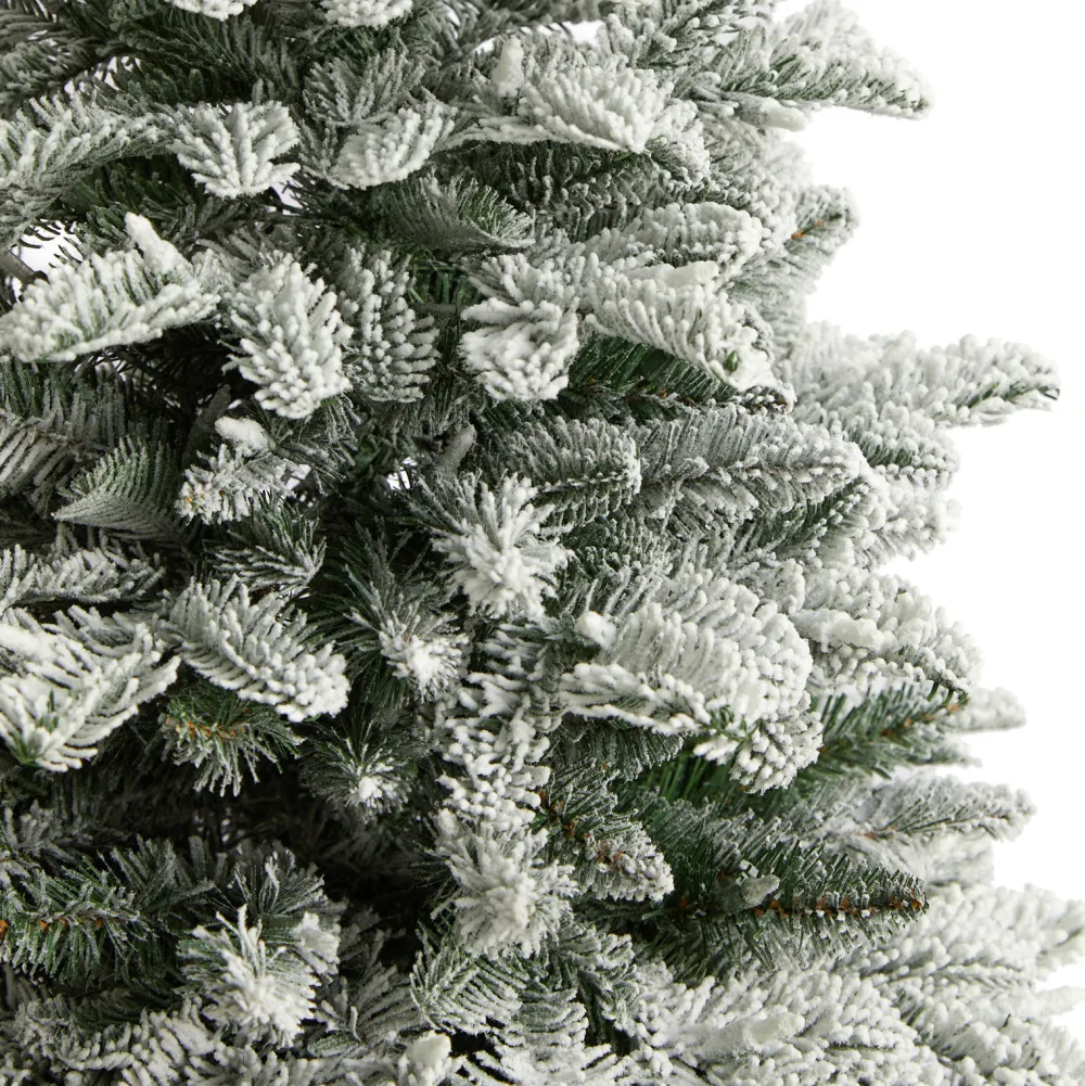 Pre-Lit Christmas Trees*The Holiday Aisle North Carolina 8' Flocked Fir Artificial Christmas Tree With 650 Clear/White Light