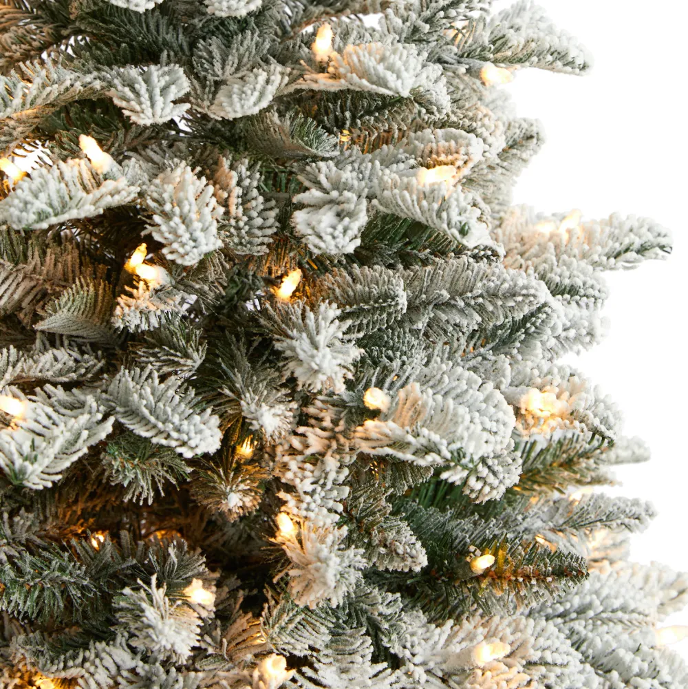 Pre-Lit Christmas Trees*The Holiday Aisle North Carolina 8' Flocked Fir Artificial Christmas Tree With 650 Clear/White Light