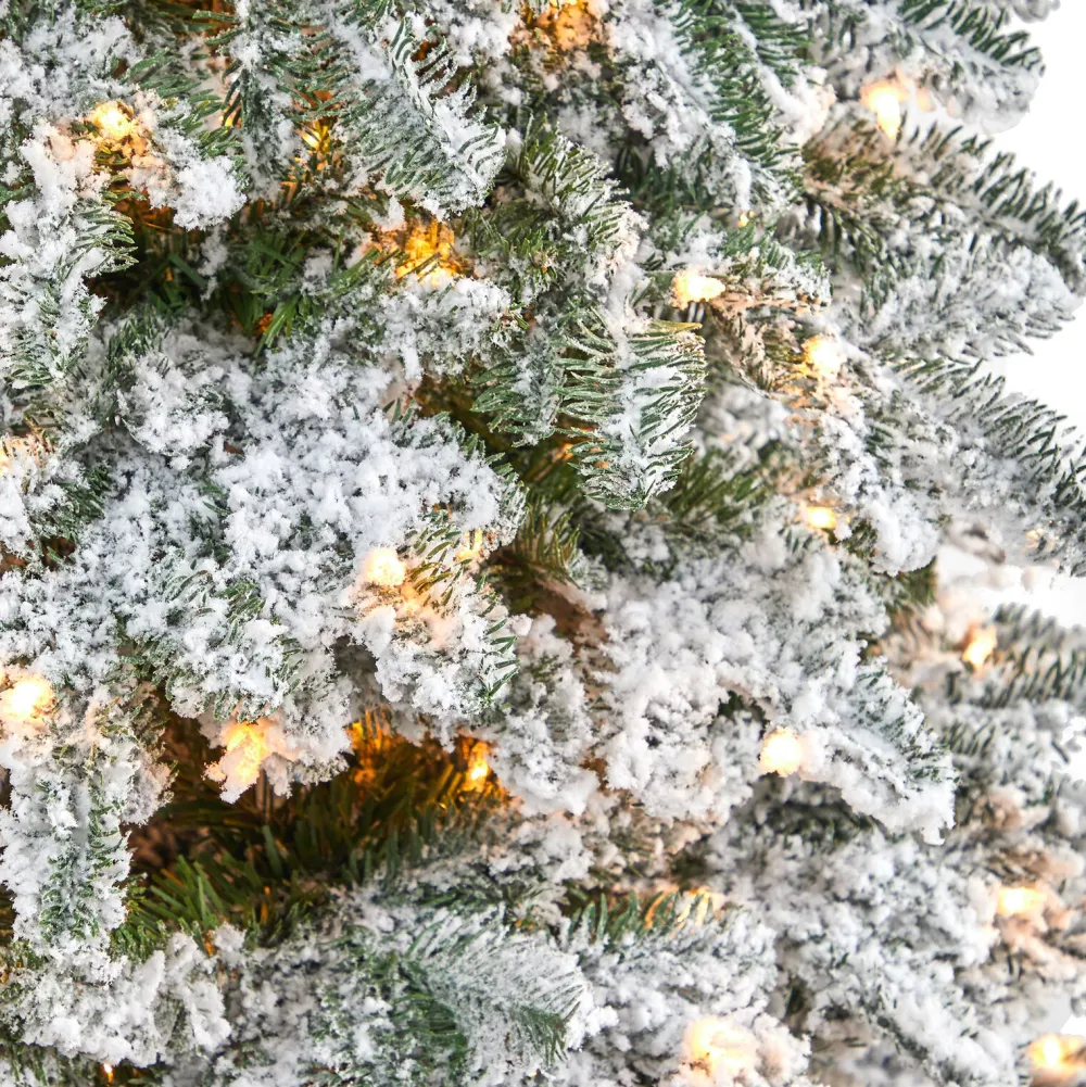 Pre-Lit Christmas Trees*The Holiday Aisle North Carolina 8' Flocked Fir Artificial Christmas Tree With 650 Clear/White Light