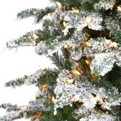 Pre-Lit Christmas Trees*The Holiday Aisle North Carolina 8' Flocked Fir Artificial Christmas Tree With 650 Clear/White Light