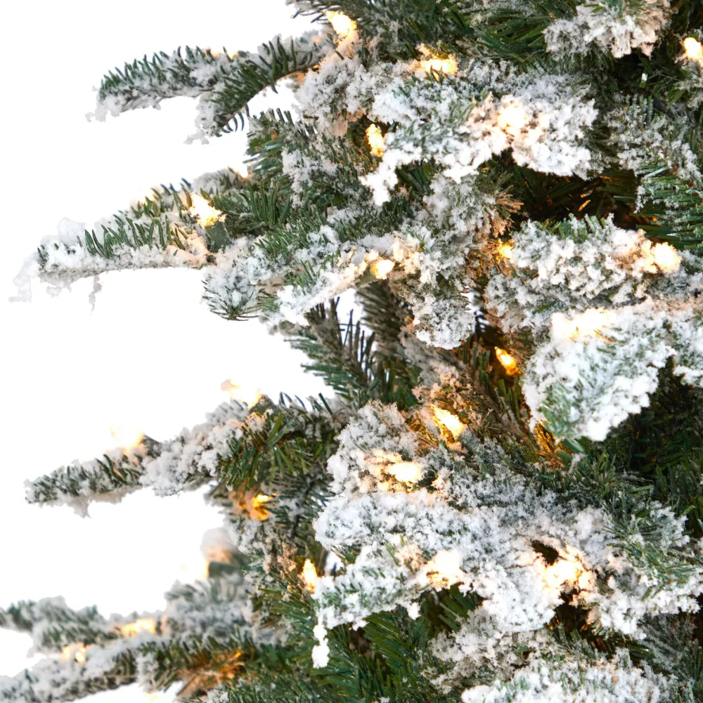 Pre-Lit Christmas Trees*The Holiday Aisle North Carolina 8' Flocked Fir Artificial Christmas Tree With 650 Clear/White Light