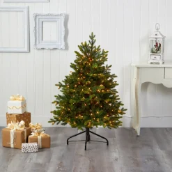 Pre-Lit Christmas Trees*The Holiday Aisle North Carolina 7' Green Fir Artificial Christmas Tree With 550 Colored And Clear Lights