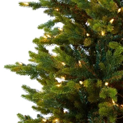Pre-Lit Christmas Trees*The Holiday Aisle North Carolina 7' Green Fir Artificial Christmas Tree With 550 Colored And Clear Lights