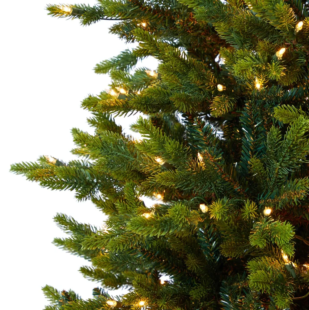 Pre-Lit Christmas Trees*The Holiday Aisle North Carolina 7' Green Fir Artificial Christmas Tree With 550 Colored And Clear Lights