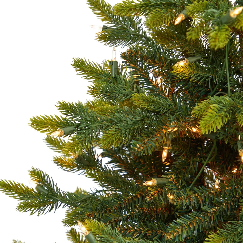 Pre-Lit Christmas Trees*The Holiday Aisle North Carolina 7' Green Fir Artificial Christmas Tree With 550 Colored And Clear Lights