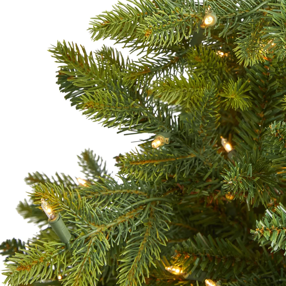 Pre-Lit Christmas Trees*The Holiday Aisle North Carolina 7' Green Fir Artificial Christmas Tree With 550 Colored And Clear Lights
