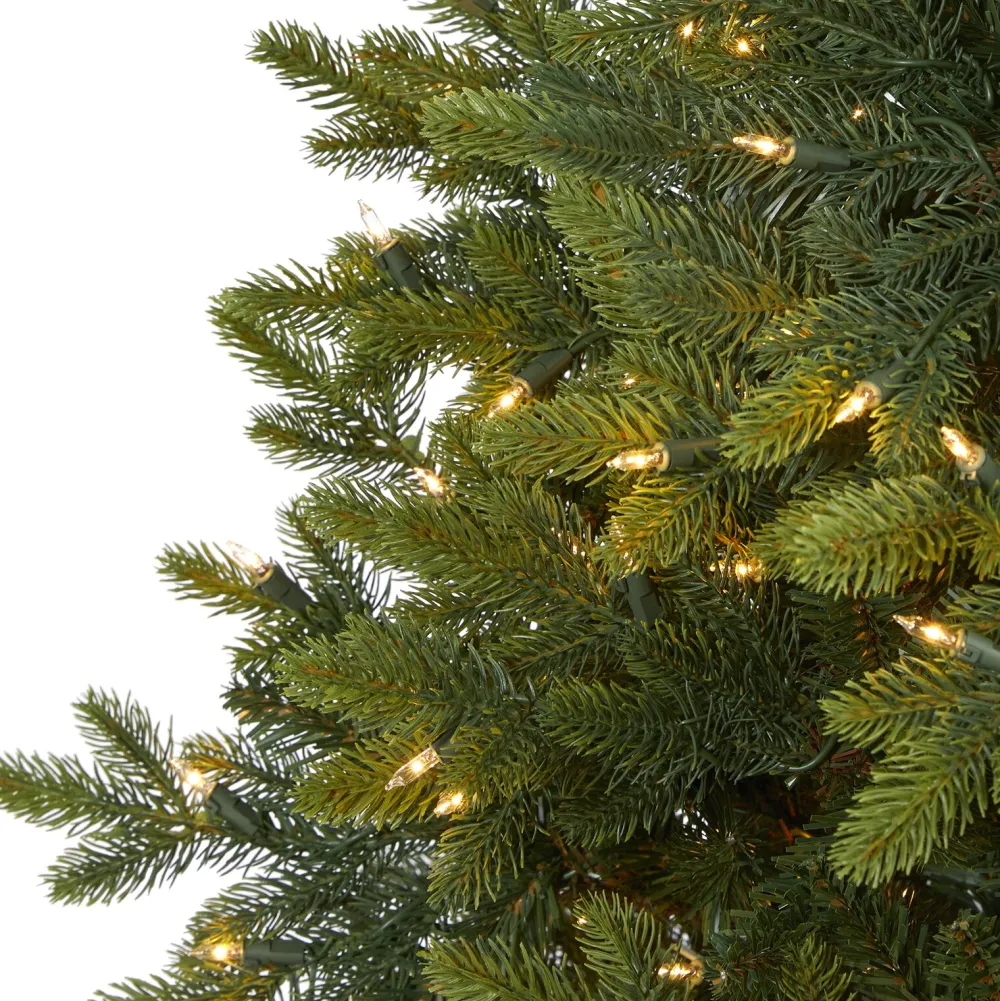 Pre-Lit Christmas Trees*The Holiday Aisle North Carolina 7' Green Fir Artificial Christmas Tree With 550 Colored And Clear Lights