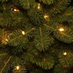 Pre-Lit Christmas Trees*Mercury Row Omusa 6.5' Slender Green Realistic Artificial Fir Christmas Tree With 300 Led Color Changing/Combination Lights