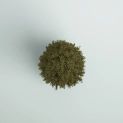 Pre-Lit Christmas Trees*Mercury Row Omusa 6.5' Slender Green Realistic Artificial Fir Christmas Tree With 300 Led Color Changing/Combination Lights