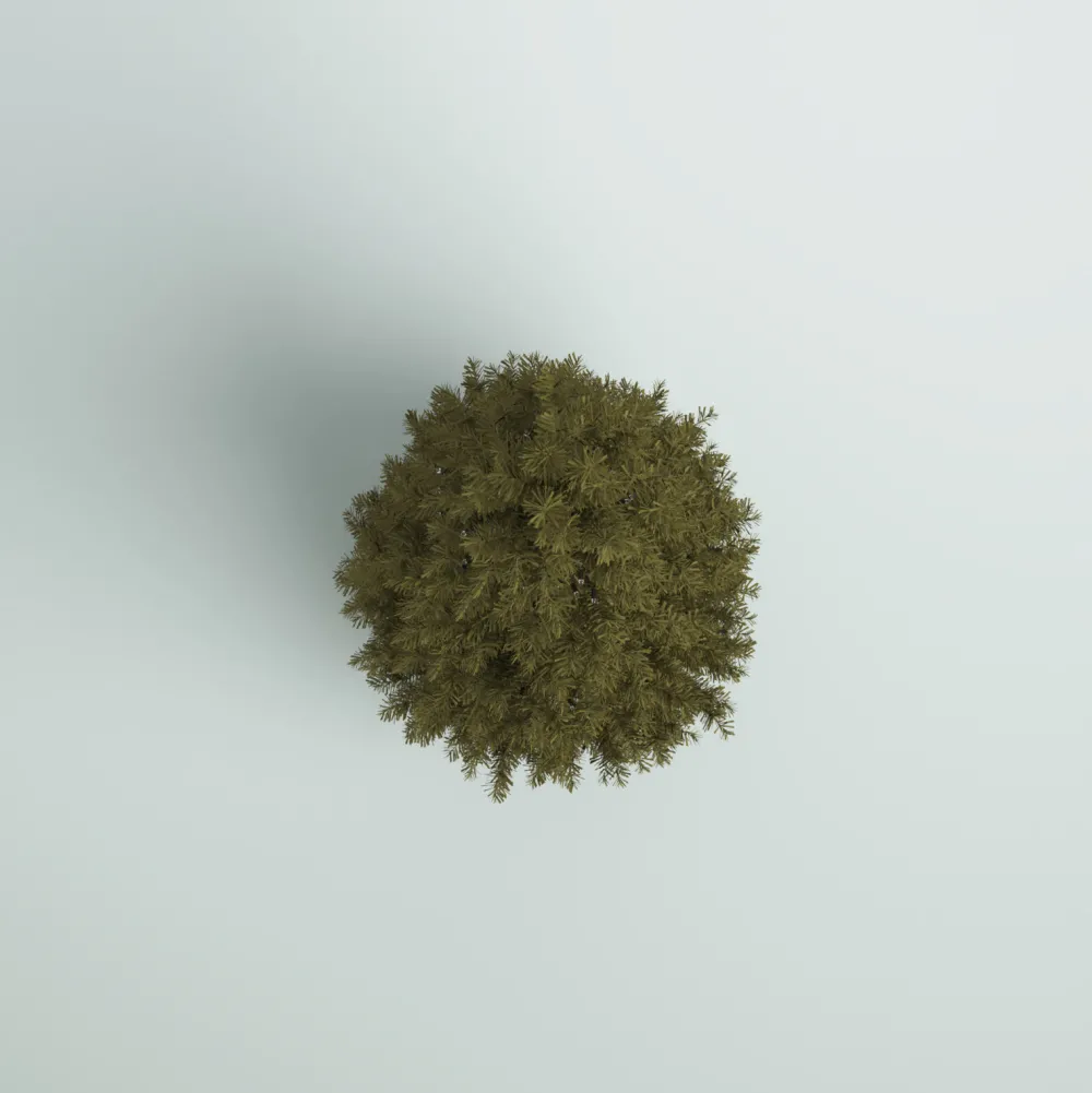 Pre-Lit Christmas Trees*Mercury Row Omusa 6.5' Slender Green Realistic Artificial Fir Christmas Tree With 300 Led Color Changing/Combination Lights