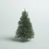 Pre-Lit Christmas Trees*Mercury Row Omusa Blue Fir Christmas Tree With Clear/White Lights