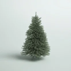 Pre-Lit Christmas Trees*Mercury Row Omusa Blue Fir Christmas Tree With Clear/White Lights