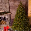 Pre-Lit Christmas Trees*Mercury Row Omusa Lighted Artificial Fir Christmas Tree - Stand Included