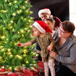 Pre-Lit Christmas Trees*The Holiday Aisle Pencil 6' Green Pine Artificial Christmas Tree With 250 White Lights