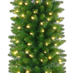 Pre-Lit Christmas Trees*The Holiday Aisle Pencil Green Fir Artificial Christmas Tree With 192 Clear/White Lights