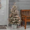 Pre-Lit Christmas Trees*The Holiday Aisle Potted Natural Cut Flocked 4.5' Silver And Green Fir Trees Artificial Christmas Tree With 70 Clear White Light