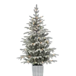 Pre-Lit Christmas Trees*The Holiday Aisle Potted Natural Cut Flocked 4.5' Silver And Green Fir Trees Artificial Christmas Tree With 70 Clear White Light