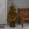 Pre-Lit Christmas Trees*The Holiday Aisle Potted Natural Cut Riverton 4' H Green Pine Christmas Tree With 150 Lights