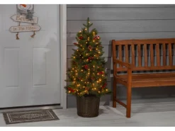 Pre-Lit Christmas Trees*The Holiday Aisle Potted Natural Cut Riverton 4' H Green Pine Christmas Tree With 150 Lights