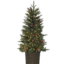 Pre-Lit Christmas Trees*The Holiday Aisle Potted Natural Cut Riverton 4' H Green Pine Christmas Tree With 150 Lights