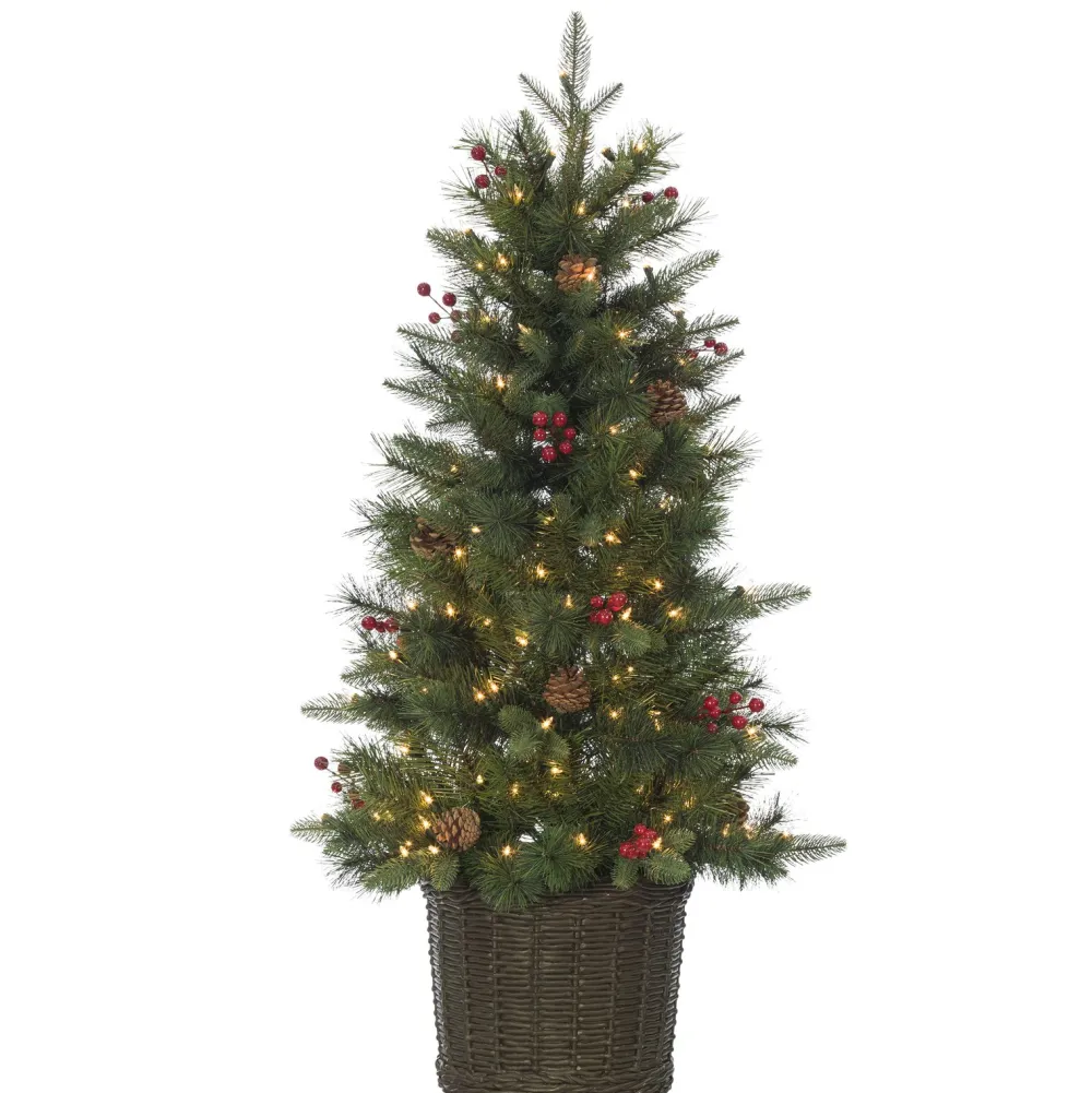 Pre-Lit Christmas Trees*The Holiday Aisle Potted Natural Cut Riverton 4' H Green Pine Christmas Tree With 150 Lights