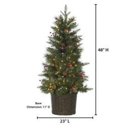 Pre-Lit Christmas Trees*The Holiday Aisle Potted Natural Cut Riverton 4' H Green Pine Christmas Tree With 150 Lights