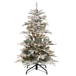 Pre-Lit Christmas Trees*The Holiday Aisle Pre-Lit 5' 4" H Green Realistic Artificial Fir Flocked/Frosted Christmas Tree With 250 Lights