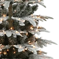 Pre-Lit Christmas Trees*The Holiday Aisle Pre-Lit 5' 4