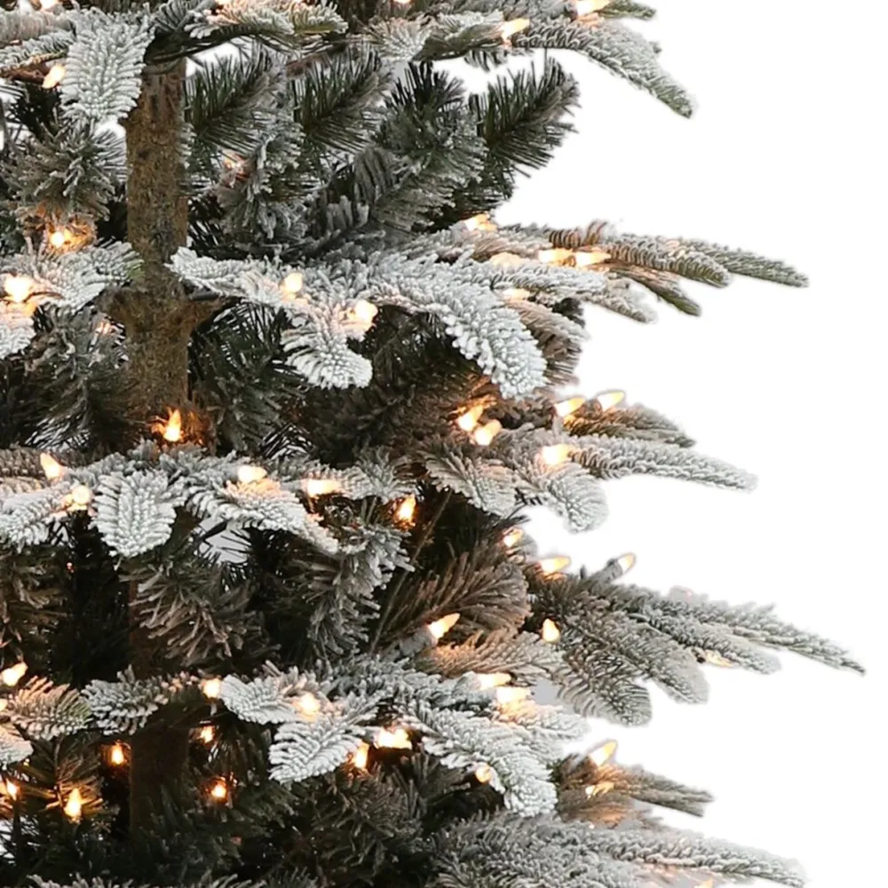 Pre-Lit Christmas Trees*The Holiday Aisle Pre-Lit 5' 4" H Green Realistic Artificial Fir Flocked/Frosted Christmas Tree With 250 Lights