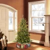 Pre-Lit Christmas Trees*Steelside Pre-Lit Aspen Green Fir Artificial Christmas Tree With Clear/White Lights