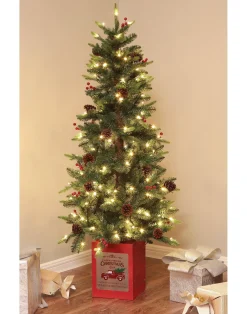 Pre-Lit Christmas Trees*The Holiday Aisle Pre-Lit Porch 5' Green Pine Fir Artificial Christmas Tree With 150 Warm White Lights