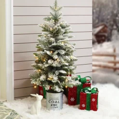 Pre-Lit Christmas Trees*The Holiday Aisle Pre-Lit Porch 3' White/Green Realistic Artificial Fir Christmas Tree With 50 Warm White Lights