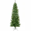Pre-Lit Christmas Trees*The Holiday Aisle Salem Pencil Pine Artificial Christmas Tree
