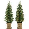 Pre-Lit Christmas Trees*The Holiday Aisle Set Of 2, 3.5 Ft B/O Potted Pre-Lit Trees, 90 Tips, 35 Warm White Led Lights, Plastic Pot, (3 X Aa Batteries Not Included), 6/18 Hours On/Off Timer Function