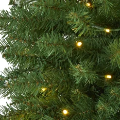 Pre-Lit Christmas Trees*The Holiday Aisle Slender Green Artificial Pine Feather Christmas Tree With Led Lights